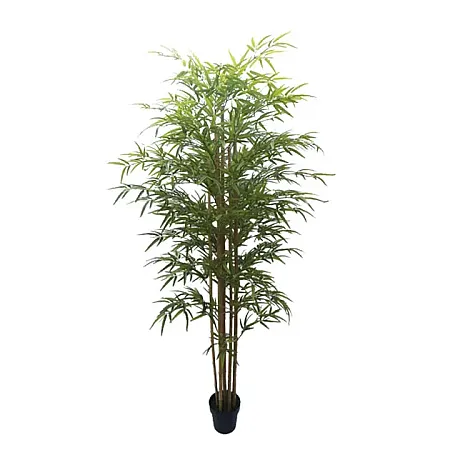 images/uploads/25042/thumb_21031 NEW.webp